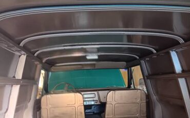 Chevrolet-c10-panel-truck-1969-green-18