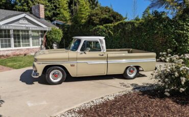 Chevrolet-c10-pickup-1966-brown-1