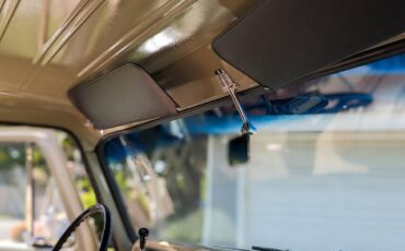 Chevrolet-c10-pickup-1966-brown-4