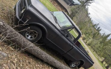 Chevrolet-c10-pickup-1969-black-2