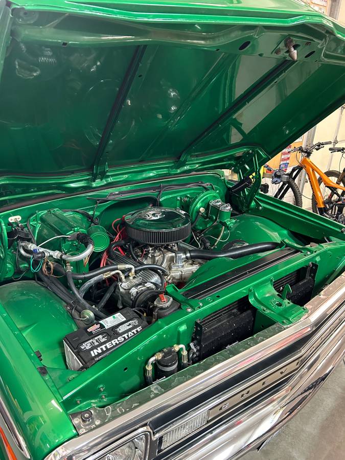 Chevrolet-c10-pickup-1969-green-4