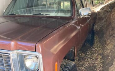 Chevrolet-c10-pickup-1972-brown-1