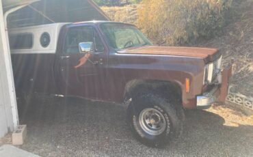 Chevrolet-c10-pickup-1972-brown