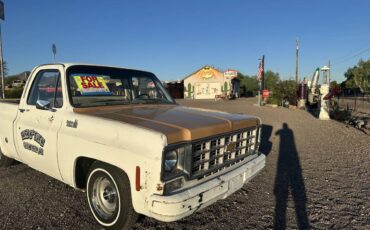 Chevrolet-c10-pickup-1978-1