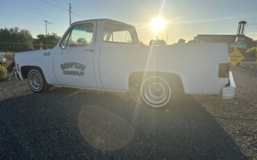 Chevrolet-c10-pickup-1978-2