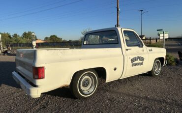 Chevrolet-c10-pickup-1978-3