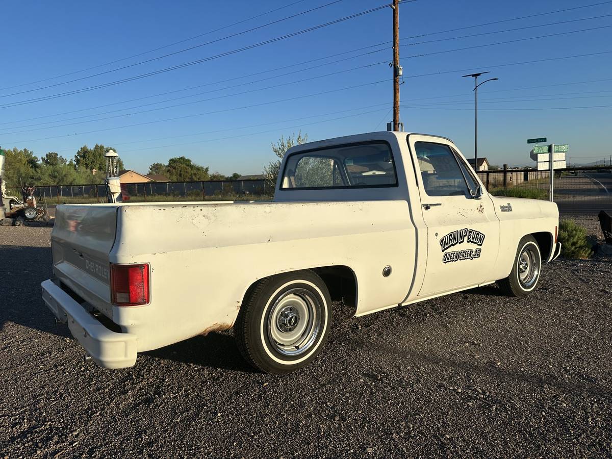 Chevrolet-c10-pickup-1978-3