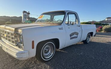 Chevrolet-c10-pickup-1978