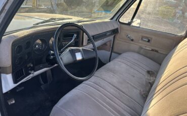 Chevrolet-c10-pickup-1978-6