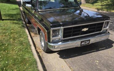 Chevrolet-c10-pickup-1979-black-1