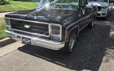Chevrolet-c10-pickup-1979-black