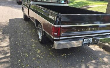 Chevrolet-c10-pickup-1979-black-5