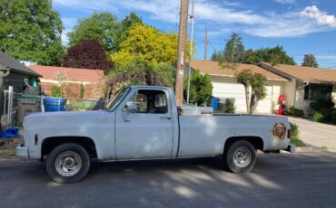 Chevrolet-c10-pickup-1979-grey-1
