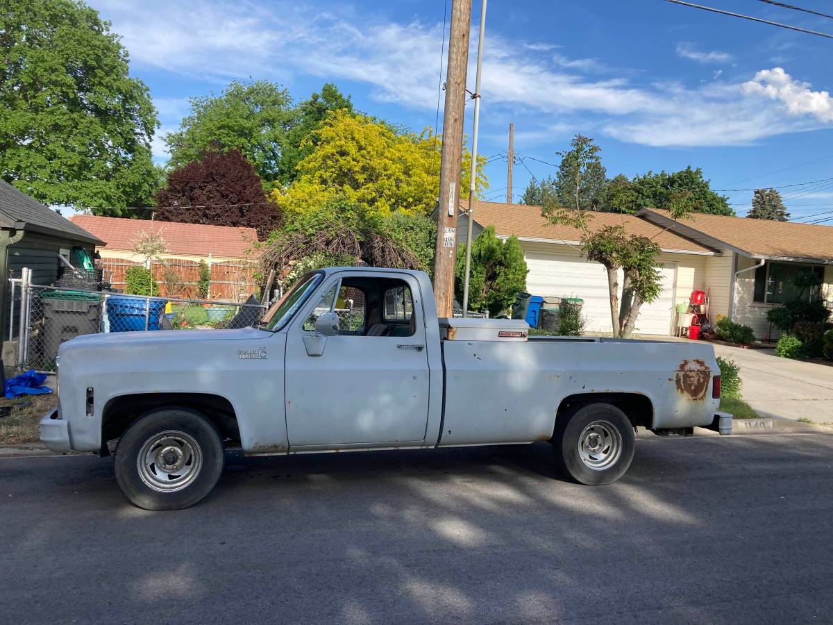 Chevrolet-c10-pickup-1979-grey-1