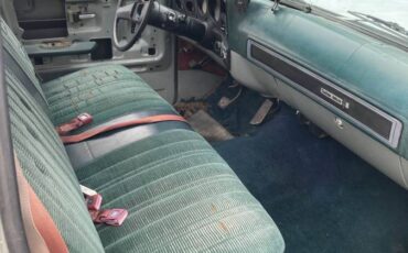 Chevrolet-c10-pickup-1979-grey-3