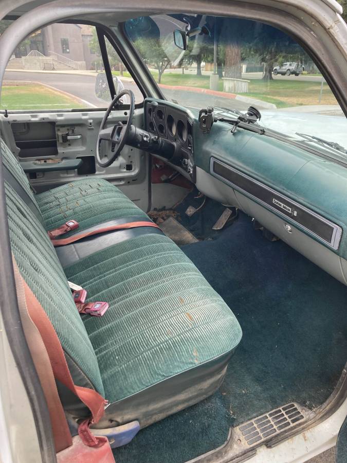 Chevrolet-c10-pickup-1979-grey-3