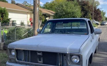 Chevrolet-c10-pickup-1979-grey