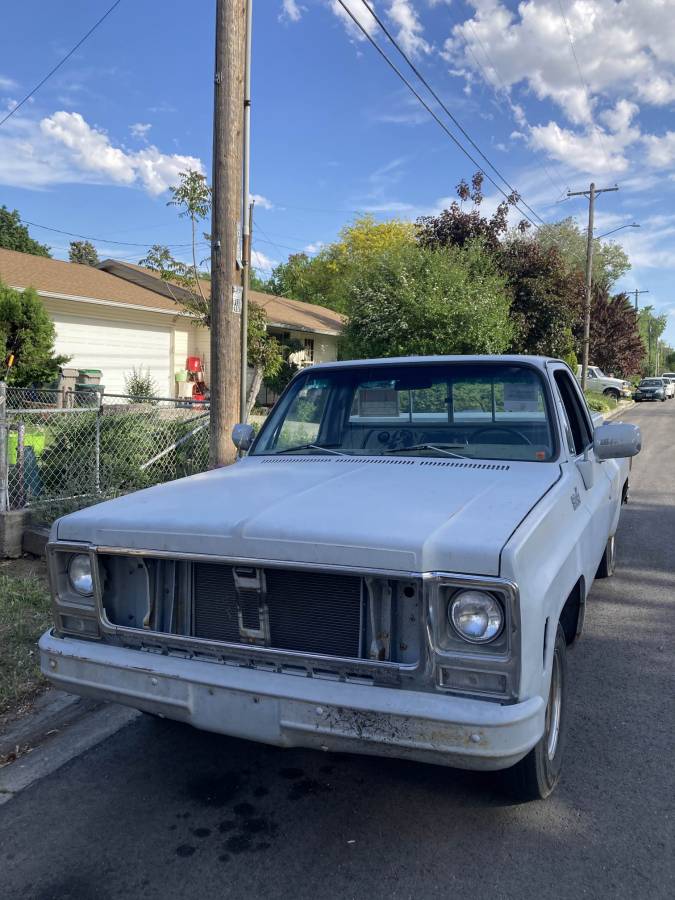 Chevrolet-c10-pickup-1979-grey