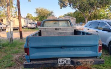 Chevrolet-c10-pickup-1984-blue-3