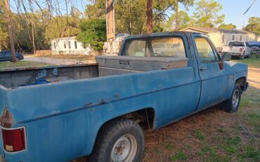 Chevrolet-c10-pickup-1984-blue-4