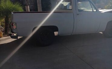 Chevrolet-c10-pickup-1984-grey-10