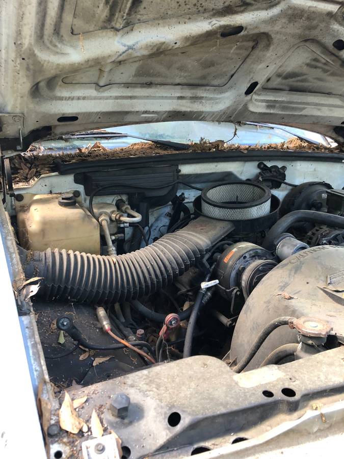 Chevrolet-c1500-1989-white-3
