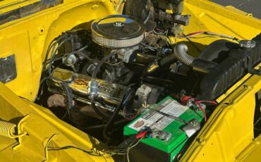 Chevrolet-c20-1965-yellow-16