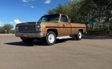 Chevrolet-c20-1980-custom-1