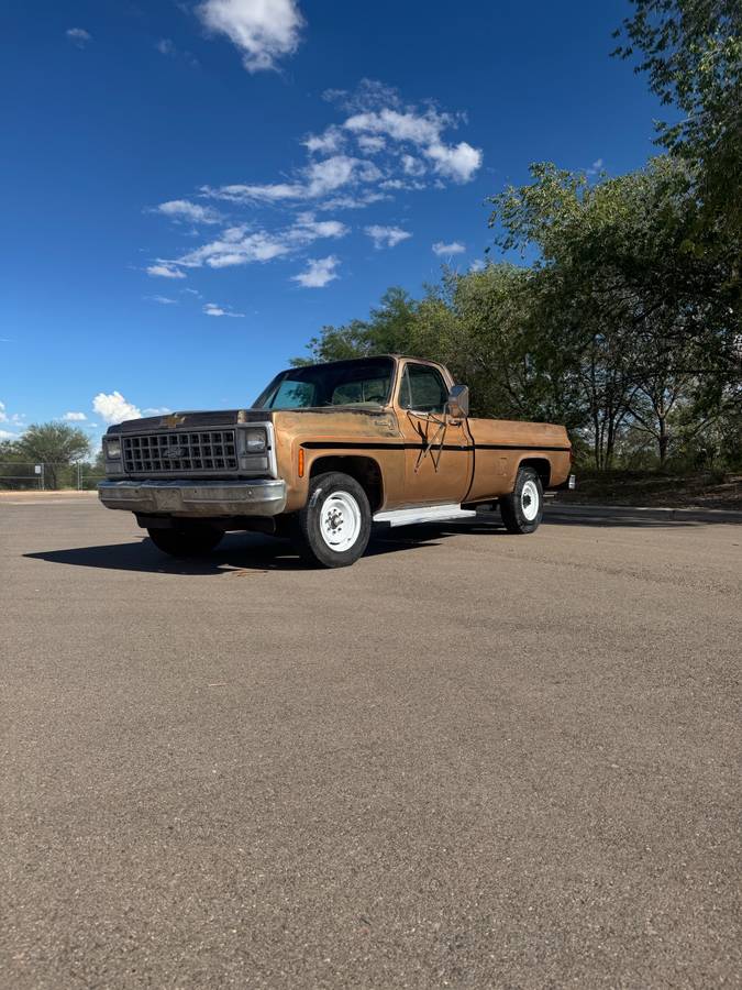 Chevrolet-c20-1980-custom-1