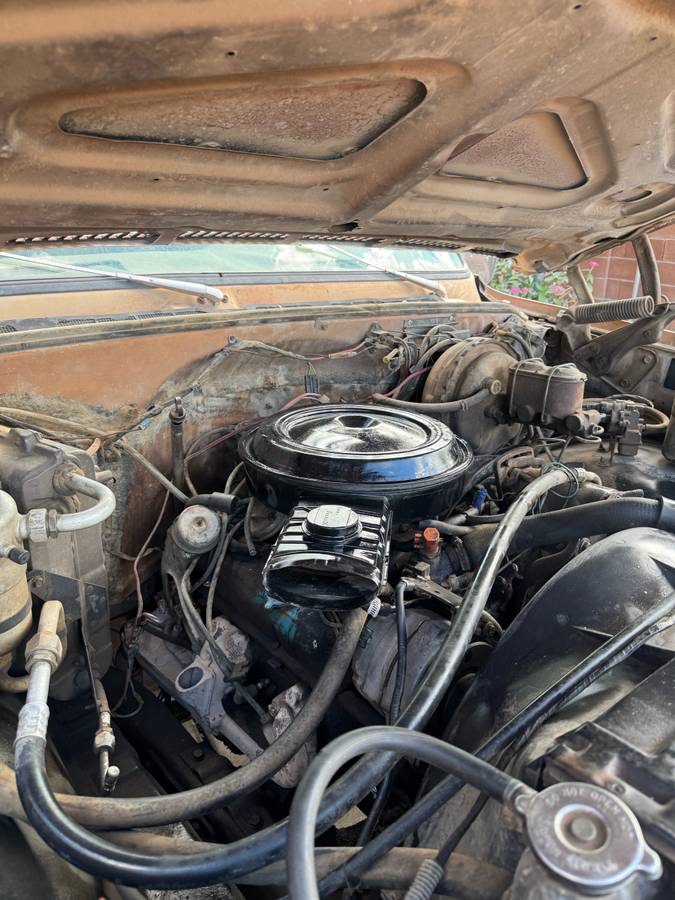 Chevrolet-c20-1980-custom-10