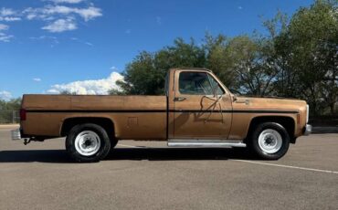 Chevrolet-c20-1980-custom-2