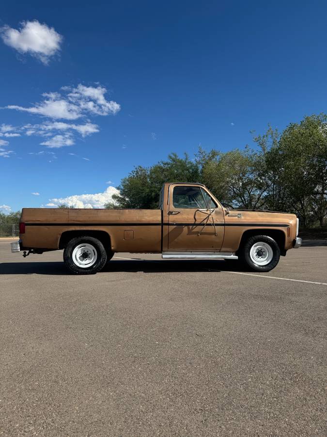 Chevrolet-c20-1980-custom-2