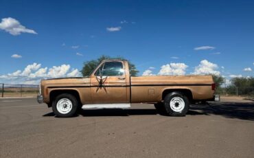 Chevrolet-c20-1980-custom-3