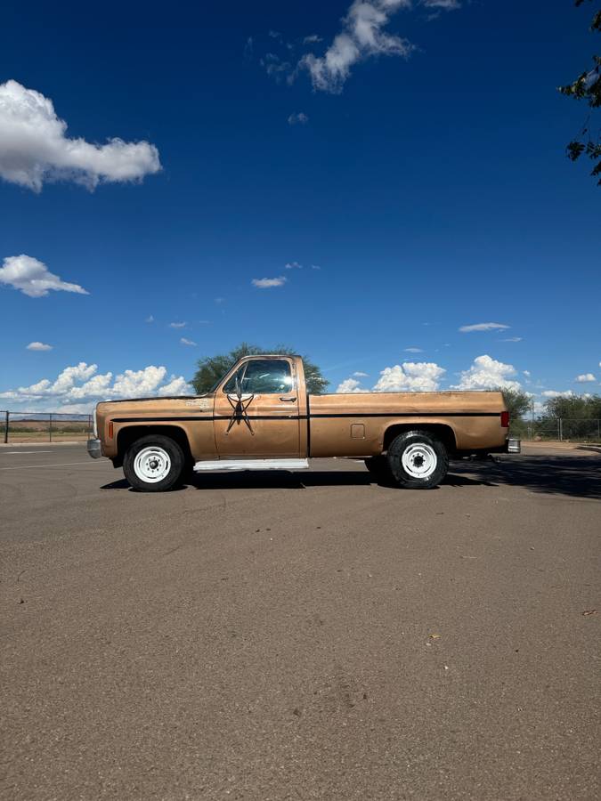 Chevrolet-c20-1980-custom-3