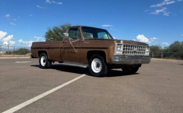 Chevrolet-c20-1980-custom