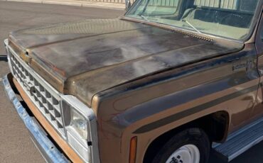 Chevrolet-c20-1980-custom-4