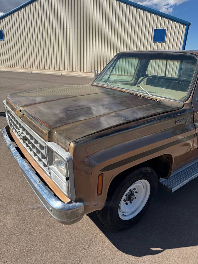 Chevrolet-c20-1980-custom-4