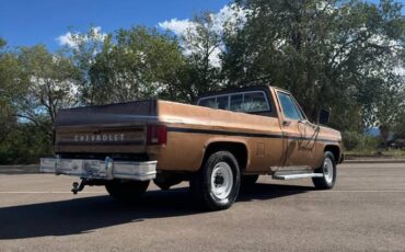 Chevrolet-c20-1980-custom-5