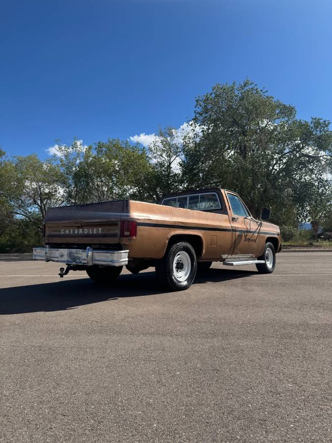 Chevrolet-c20-1980-custom-5