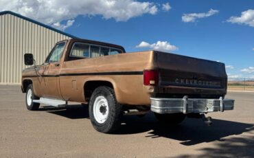 Chevrolet-c20-1980-custom-6