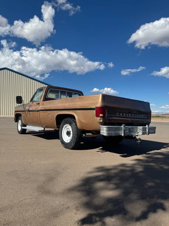 Chevrolet-c20-1980-custom-6