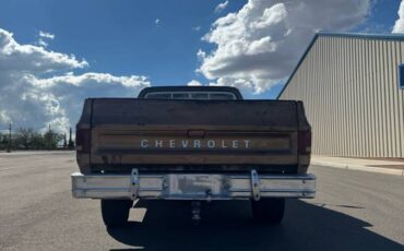 Chevrolet-c20-1980-custom-7
