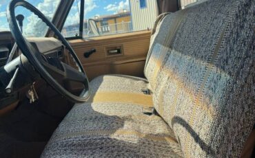 Chevrolet-c20-1980-custom-8