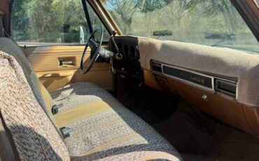 Chevrolet-c20-1980-custom-9