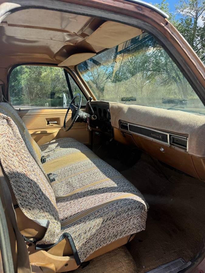 Chevrolet-c20-1980-custom-9