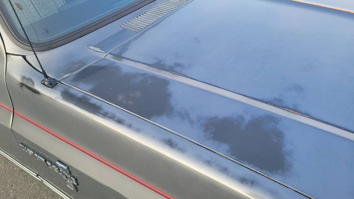Chevrolet-c20-1986-grey-1