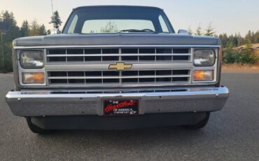 Chevrolet-c20-1986-grey-17
