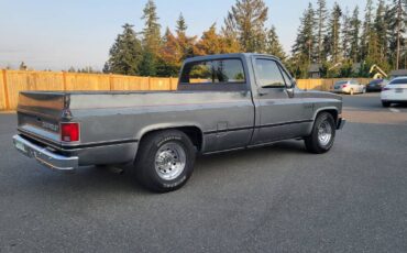 Chevrolet-c20-1986-grey-2