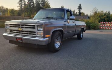 Chevrolet-c20-1986-grey-20