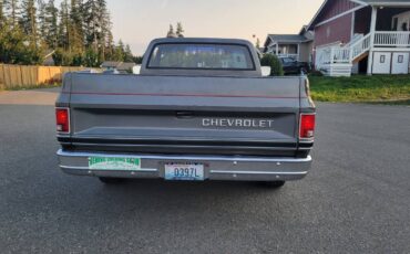 Chevrolet-c20-1986-grey-3